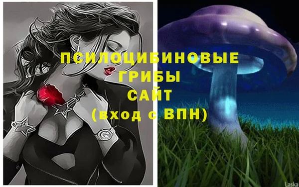 дживик Абинск