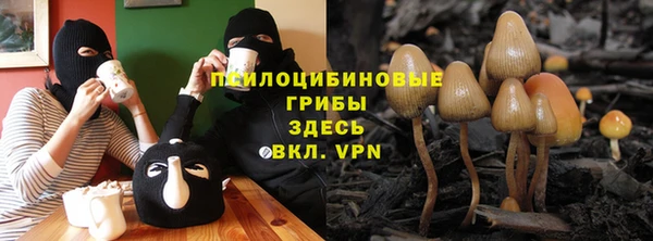 каннабис Алексин