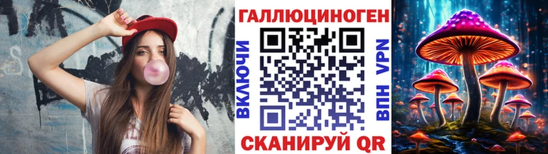 Псилоцибиновые грибы Psilocybe  купить   мега зеркало  Талдом 